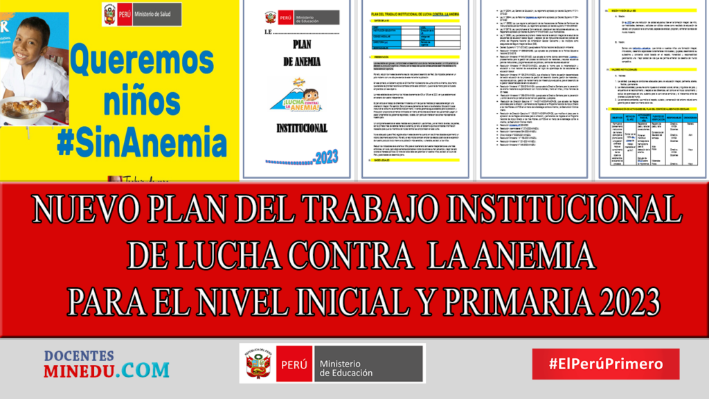 NUEVO PLAN DEL TRABAJO INSTITUCIONAL DE LUCHA CONTRA LA ANEMIA PARA EL ...